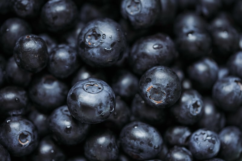 Superfood Secrets