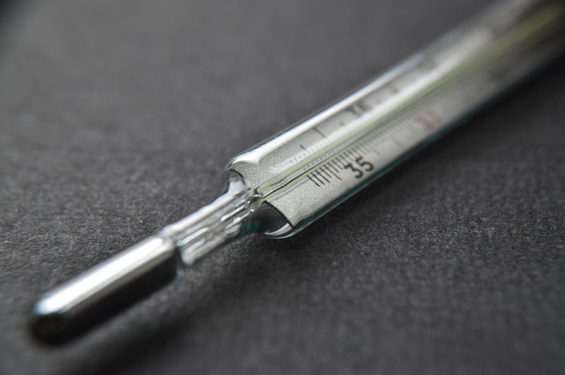Bluetooth Meat Thermometer